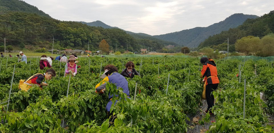 ��õ �ұ����� ������ ���߼�Ȯ(2017. 10.16)