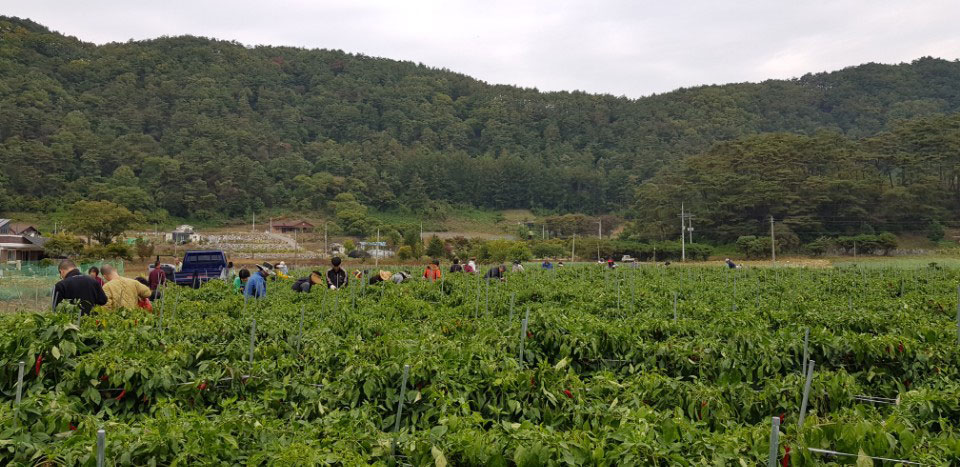 ��õ �ұ����� ������ ���߼�Ȯ(2017. 10.16)