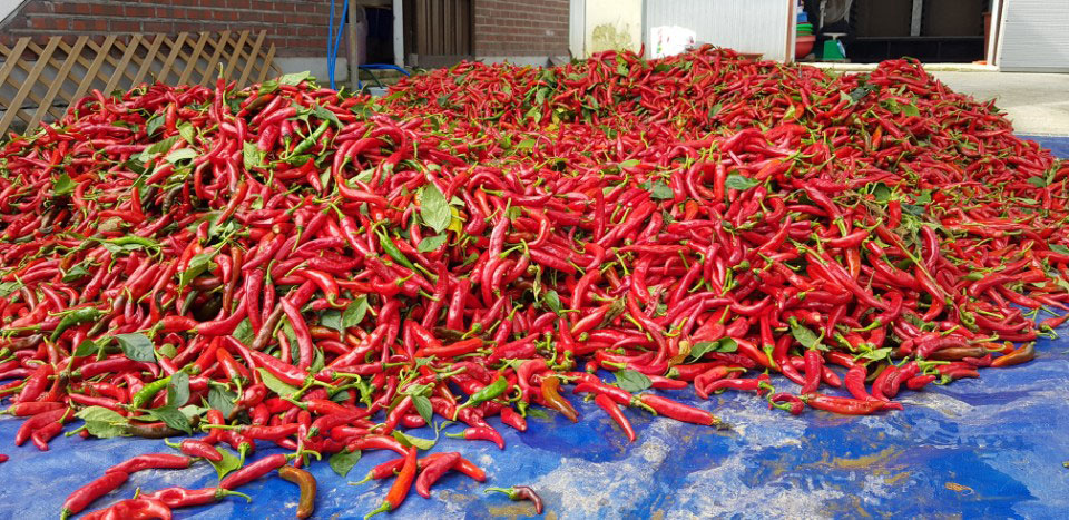 ��õ �ұ����� ������ ���߼�Ȯ(2017. 10.16)