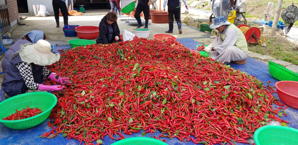 ��õ �ұ����� ������ ���߼�Ȯ(2017. 10.16)