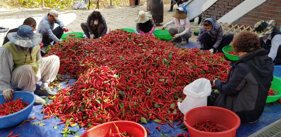 ��õ �ұ����� ������ ���߼�Ȯ(2017. 10.16)