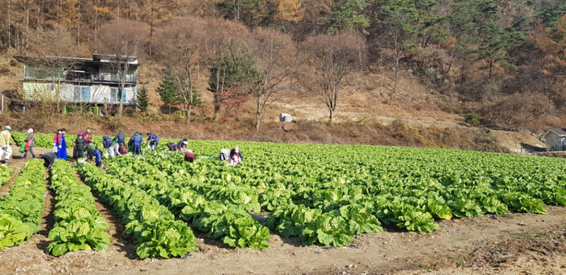 ��õ���߿�� 2017��