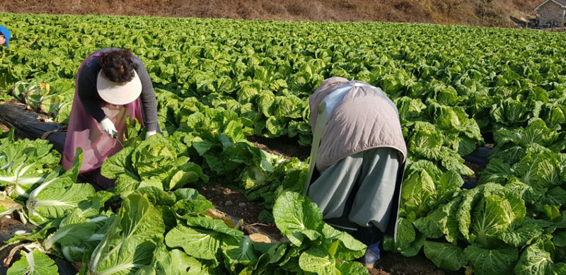 ��õ���߿�� 2017��