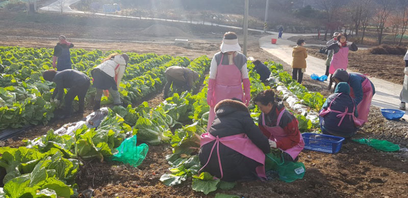 ��õ���߿�� 2017��