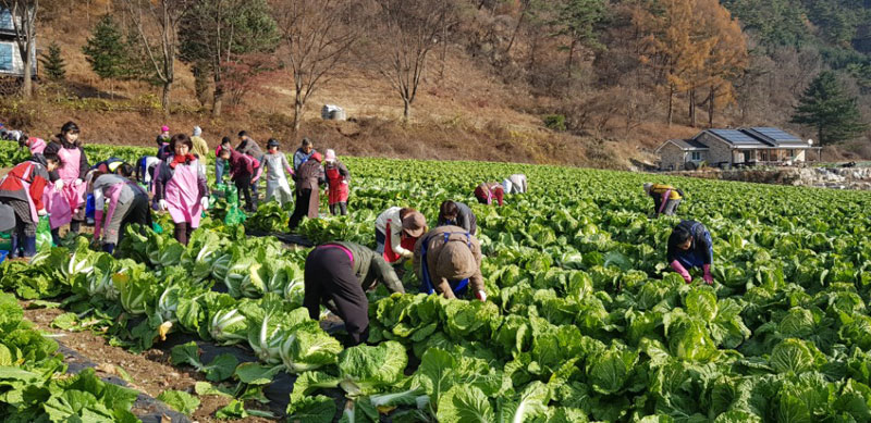 ��õ���߿�� 2017��