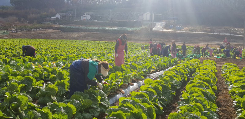 ��õ���߿�� 2017��