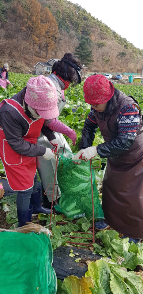 ��õ���߿�� 2017��