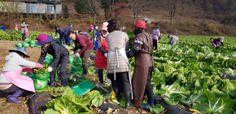 ��õ���߿�� 2017��