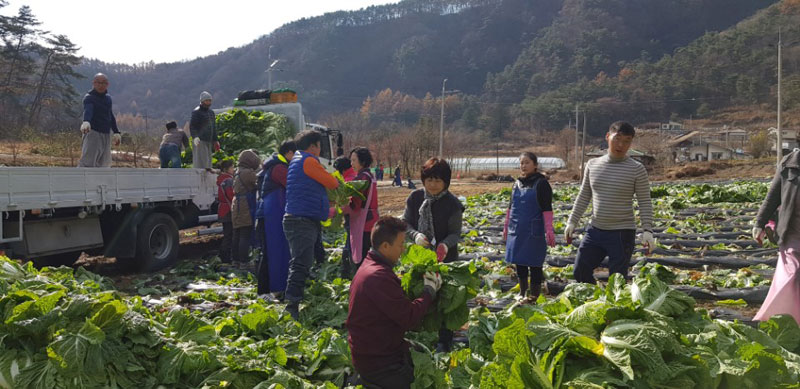 ��õ���߿�� 2017��