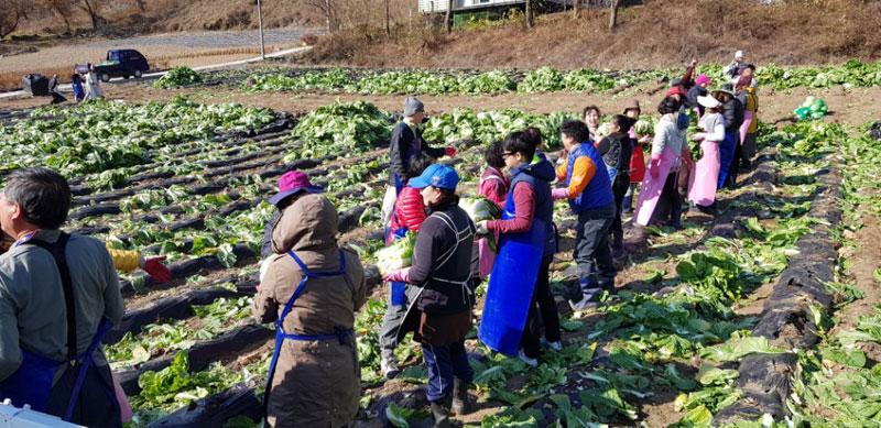 ��õ���߿�� 2017��