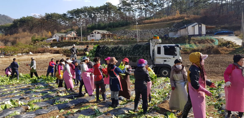 ��õ���߿�� 2017��