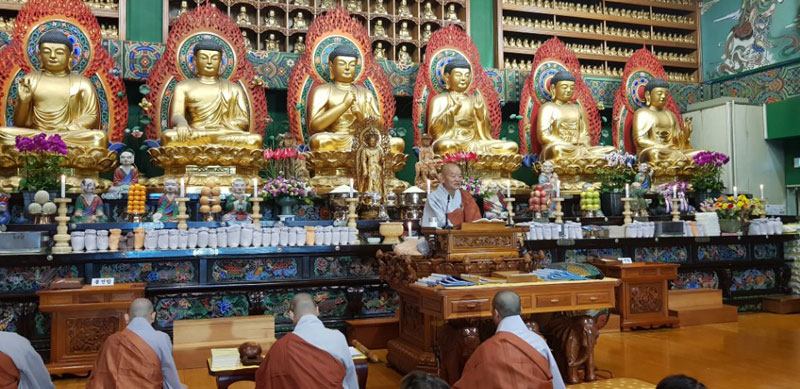 ������ȸ 2017��