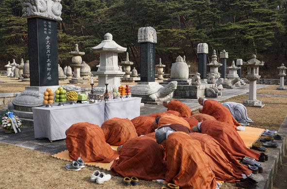 14�ֱ� ���Ͻ��� �߸�ٷ���(2017�� 12��28��)