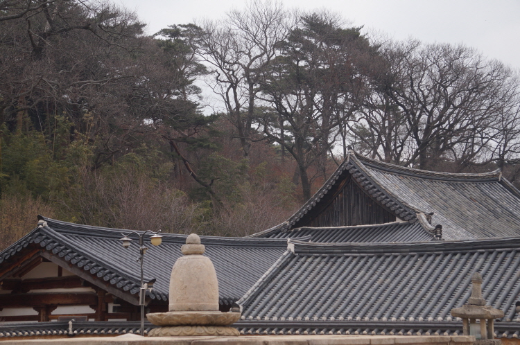 �뵵�� �ų��Ϸ� 2018��(2��28��)