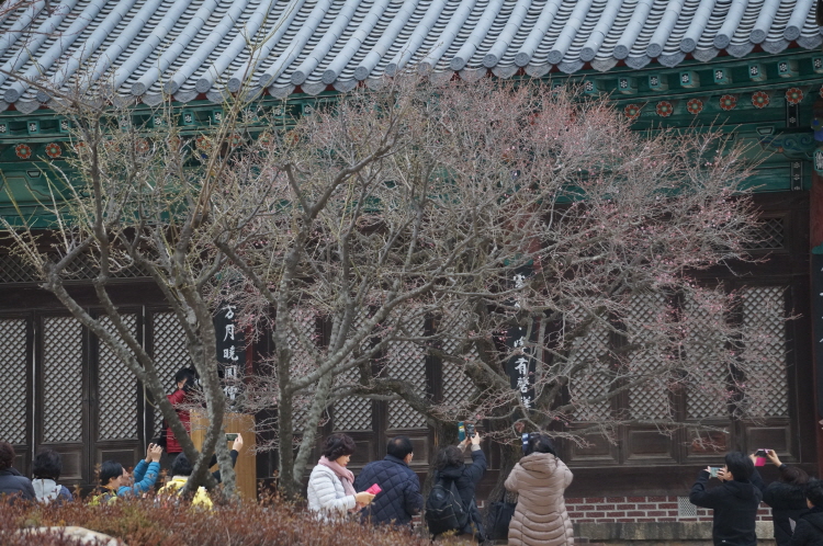 �뵵�� �ų��Ϸ� 2018��(2��28��)