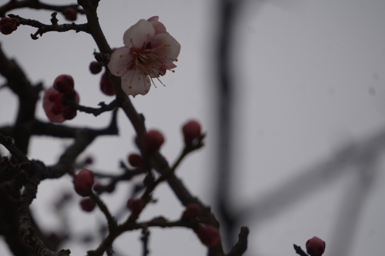 �뵵�� �ų��Ϸ� 2018��(2��28��)