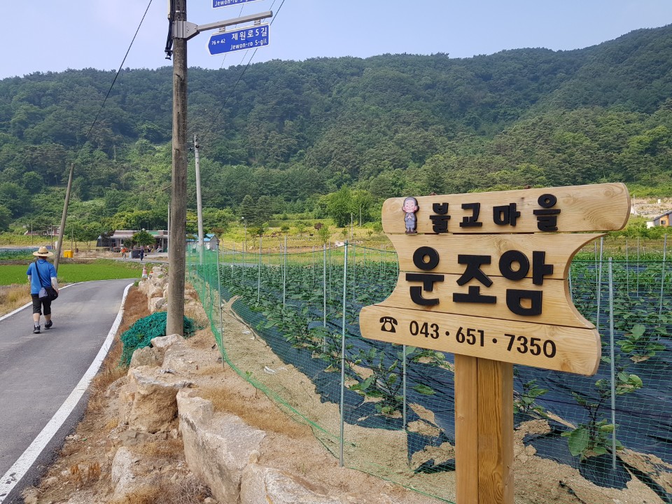 ��õ �����ٵ����� 2018��