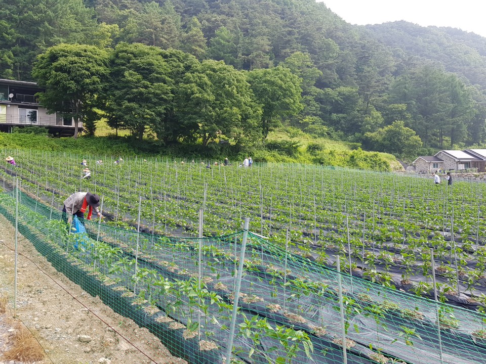 ��õ �����ٵ����� 2018��