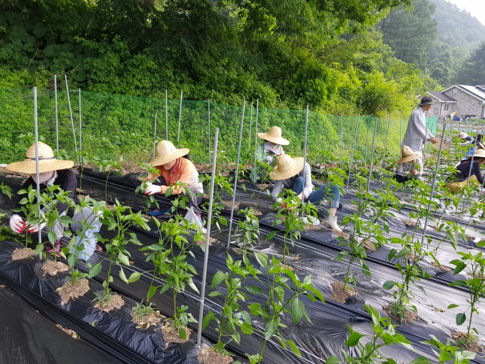 ��õ �����ٵ����� 2018��