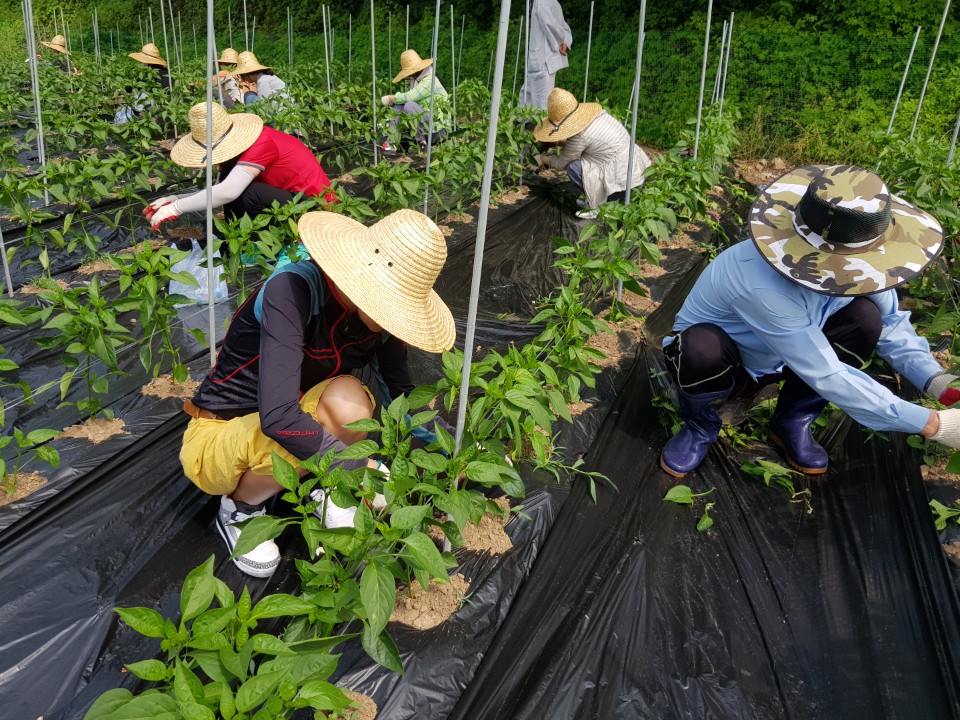 ��õ �����ٵ����� 2018��