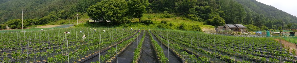 ��õ �����ٵ����� 2018��