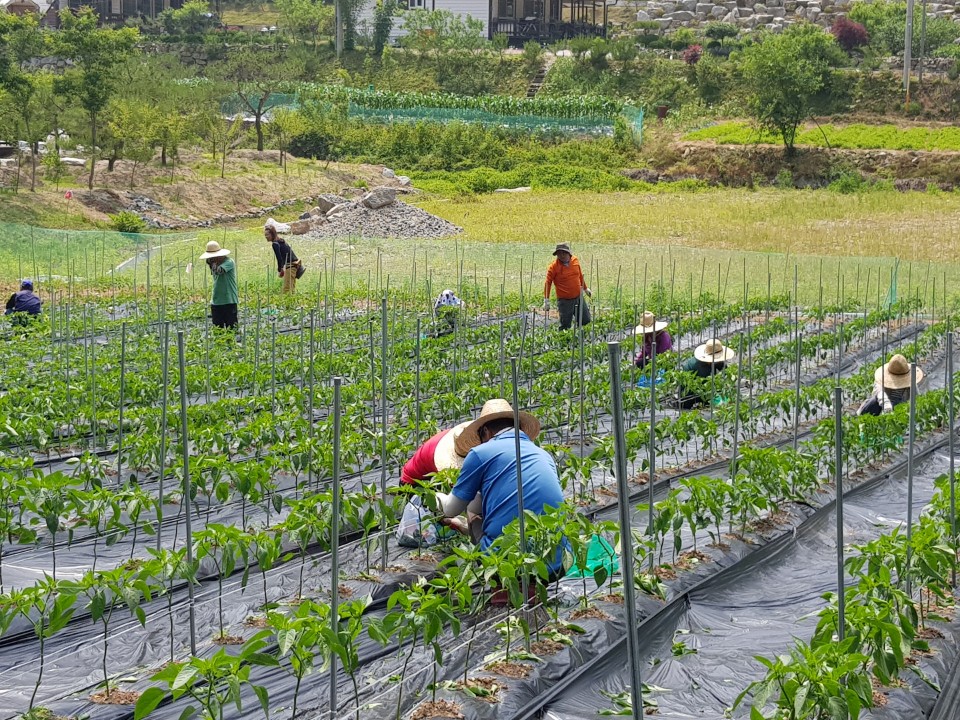 ��õ �����ٵ����� 2018��