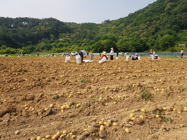 ��õ ���ڿ�� 2018��