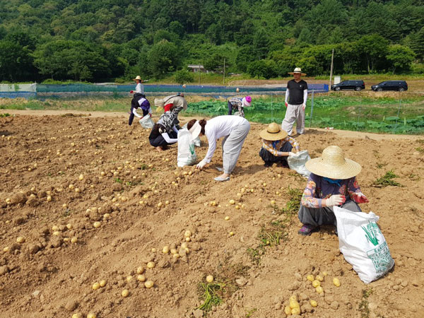 ��õ ���ڿ�� 2018��