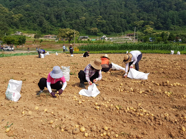 ��õ ���ڿ�� 2018��