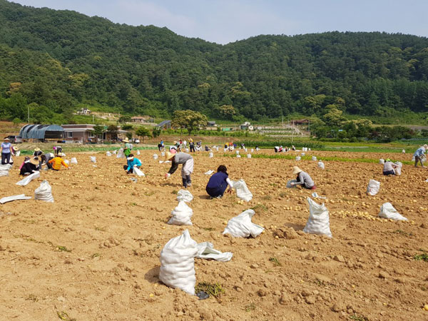 ��õ ���ڿ�� 2018��