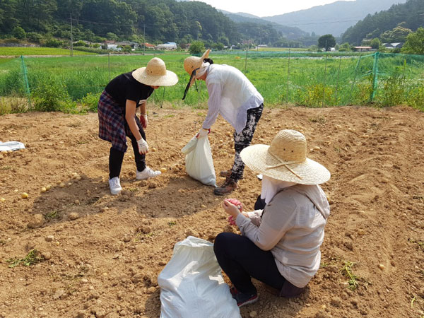 ��õ ���ڿ�� 2018��