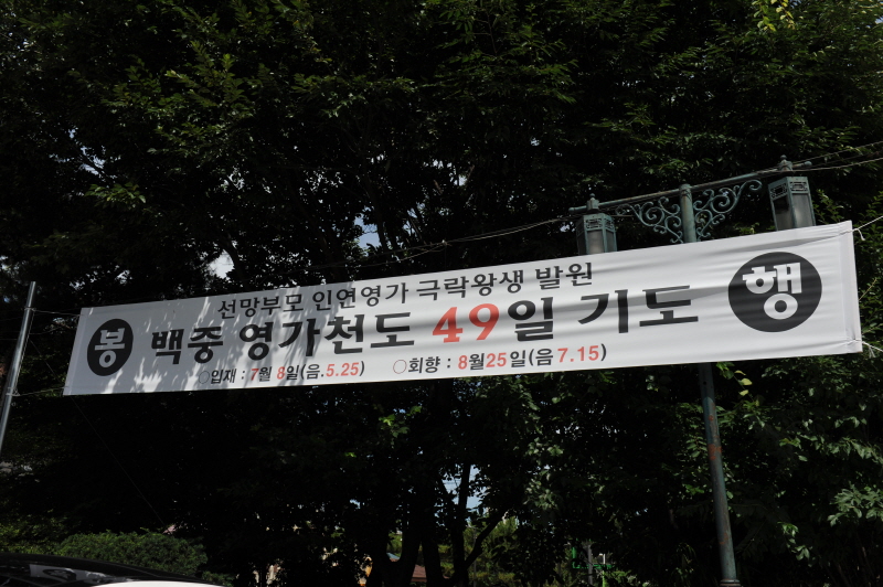 ���߿��� õ�� 49�� �⵵����(2018�� 7��8��)