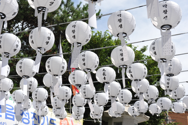 ���߿��� õ�� 49�� �⵵����(2018�� 7��8��)