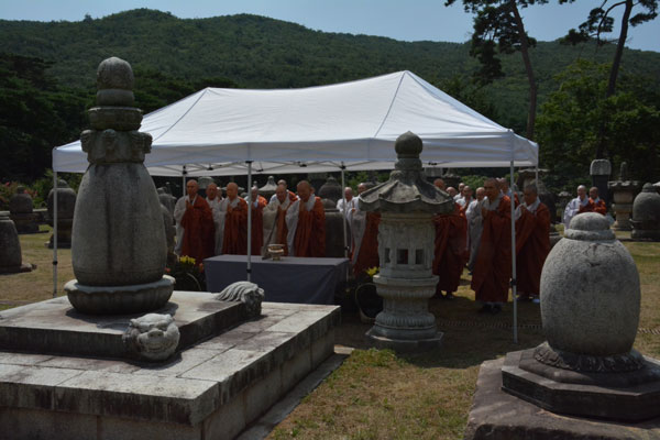 ȫ������ ����40�ֱ� �߸�ٷ�