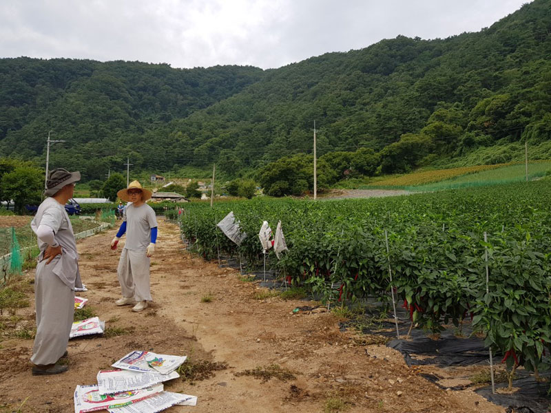 ��õ ���߿�� 2018��