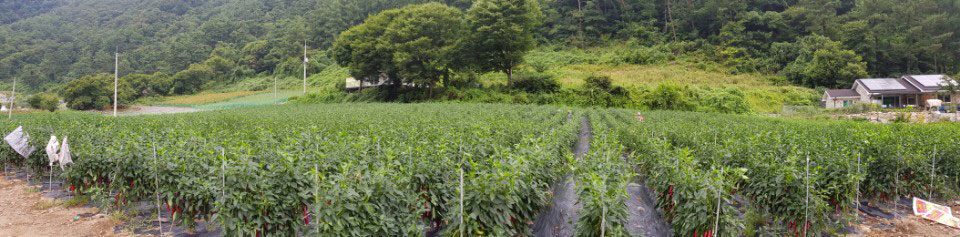 ��õ ���߿�� 2018��