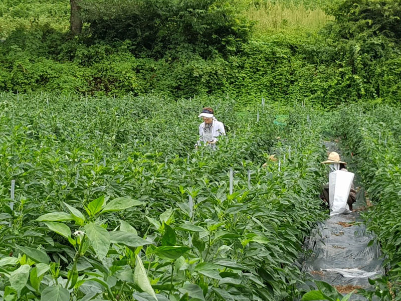 ��õ ���߿�� 2018��