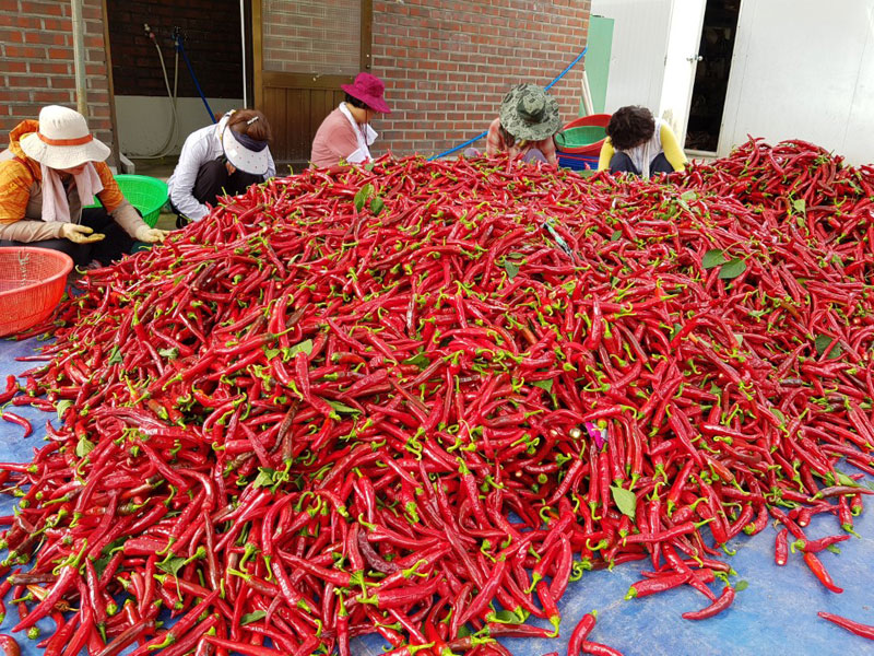 ��õ ���߿�� 2018��