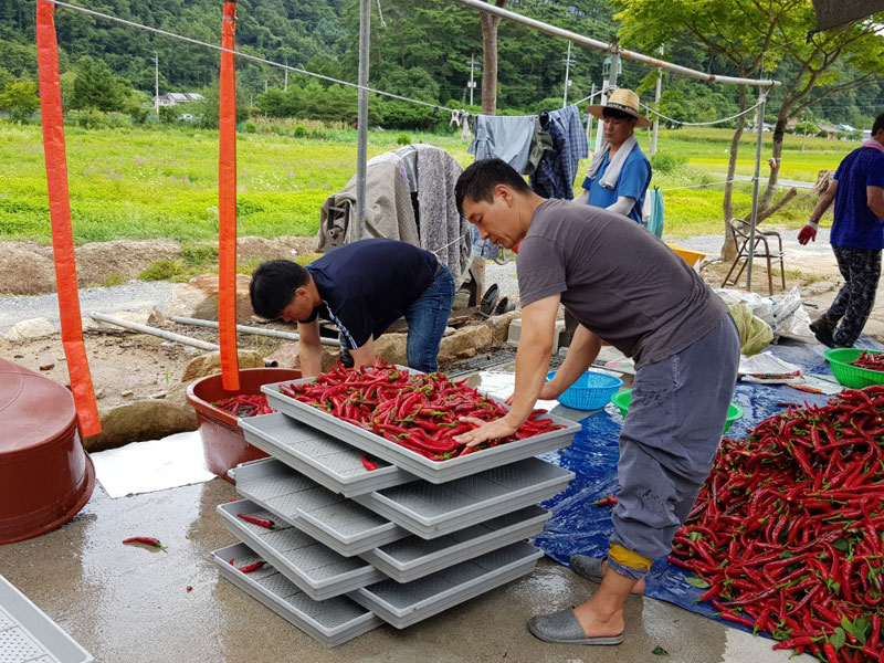 ��õ ���߿�� 2018��