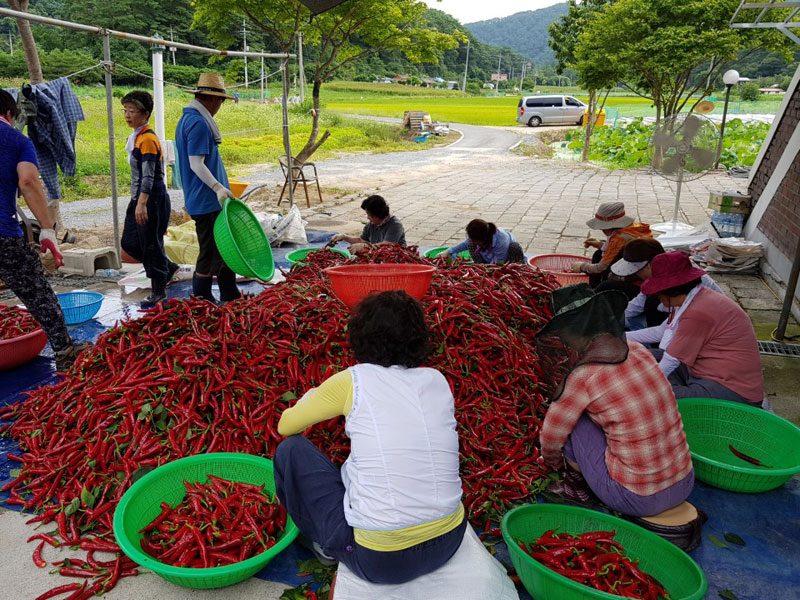 ��õ ���߿�� 2018��