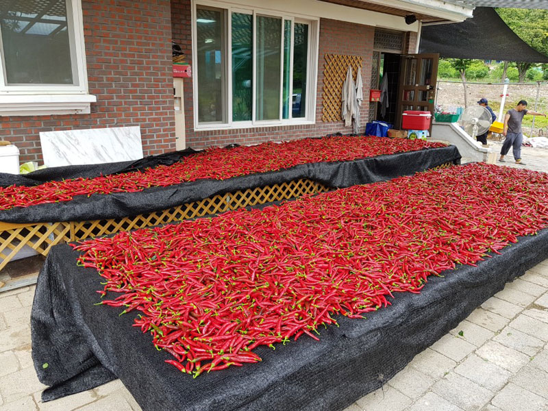 ��õ ���߿�� 2018��