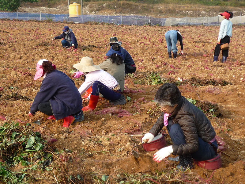 ��õ��������� 2018��