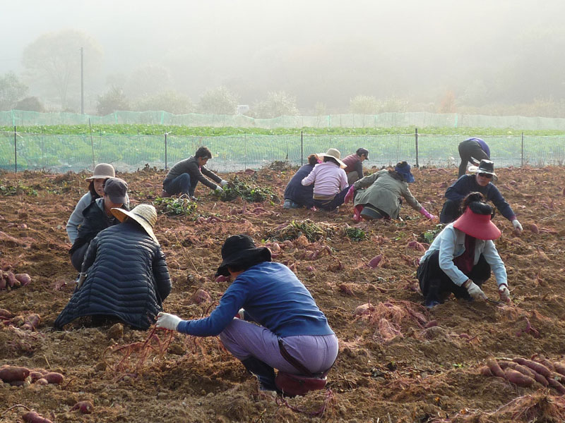 ��õ��������� 2018��