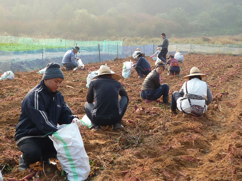 ��õ��������� 2018��