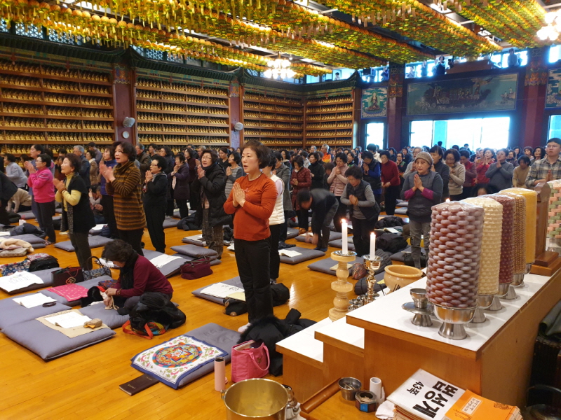 �� �յ�����(2019�� 2�� 5��)