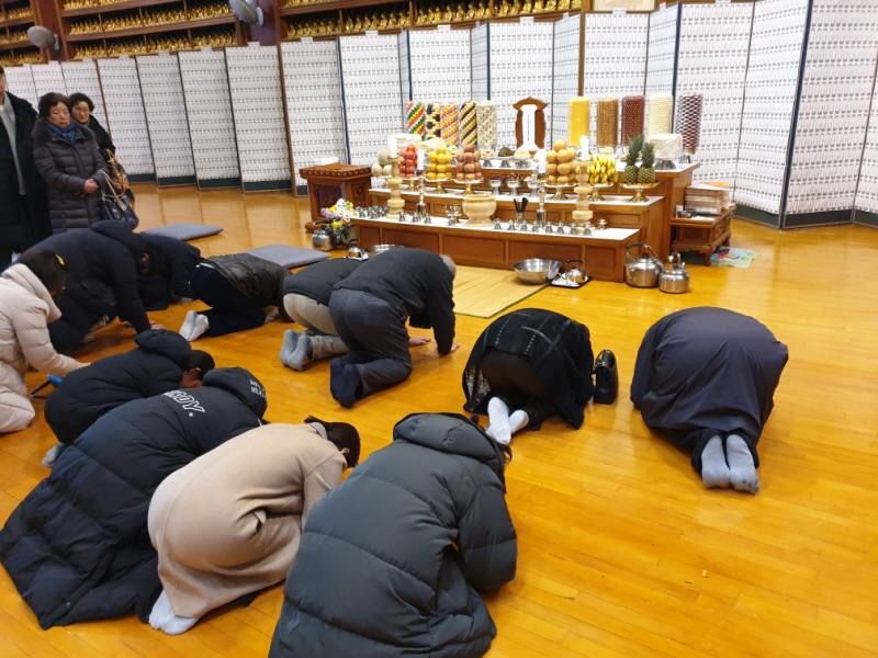 �� �յ�����(2019�� 2�� 5��)