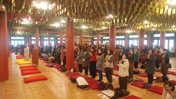 �뵵�� �ų��Ϸ� 2019��