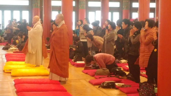 �뵵�� �ų��Ϸ� 2019��