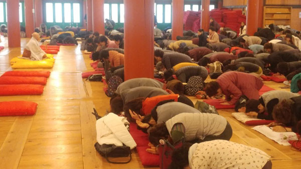 �뵵�� �ų��Ϸ� 2019��