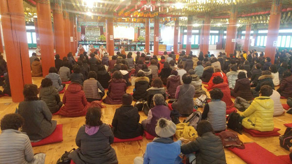 �뵵�� �ų��Ϸ� 2019��